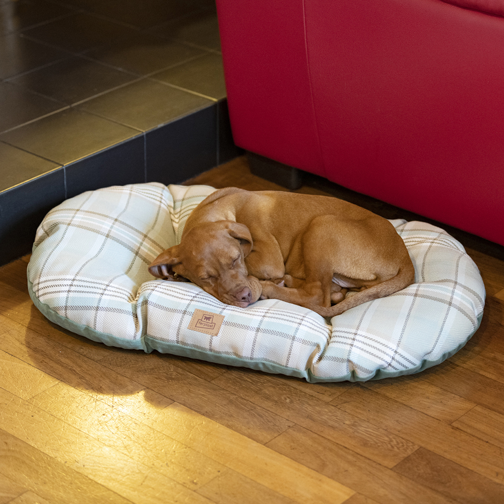 Coussin rembourré pour chiens et chats scott 65/6, double-face, écossais, velours doux, lavable, marron