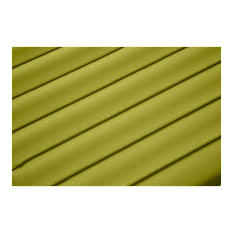Astro Insulated - Matelas de camping