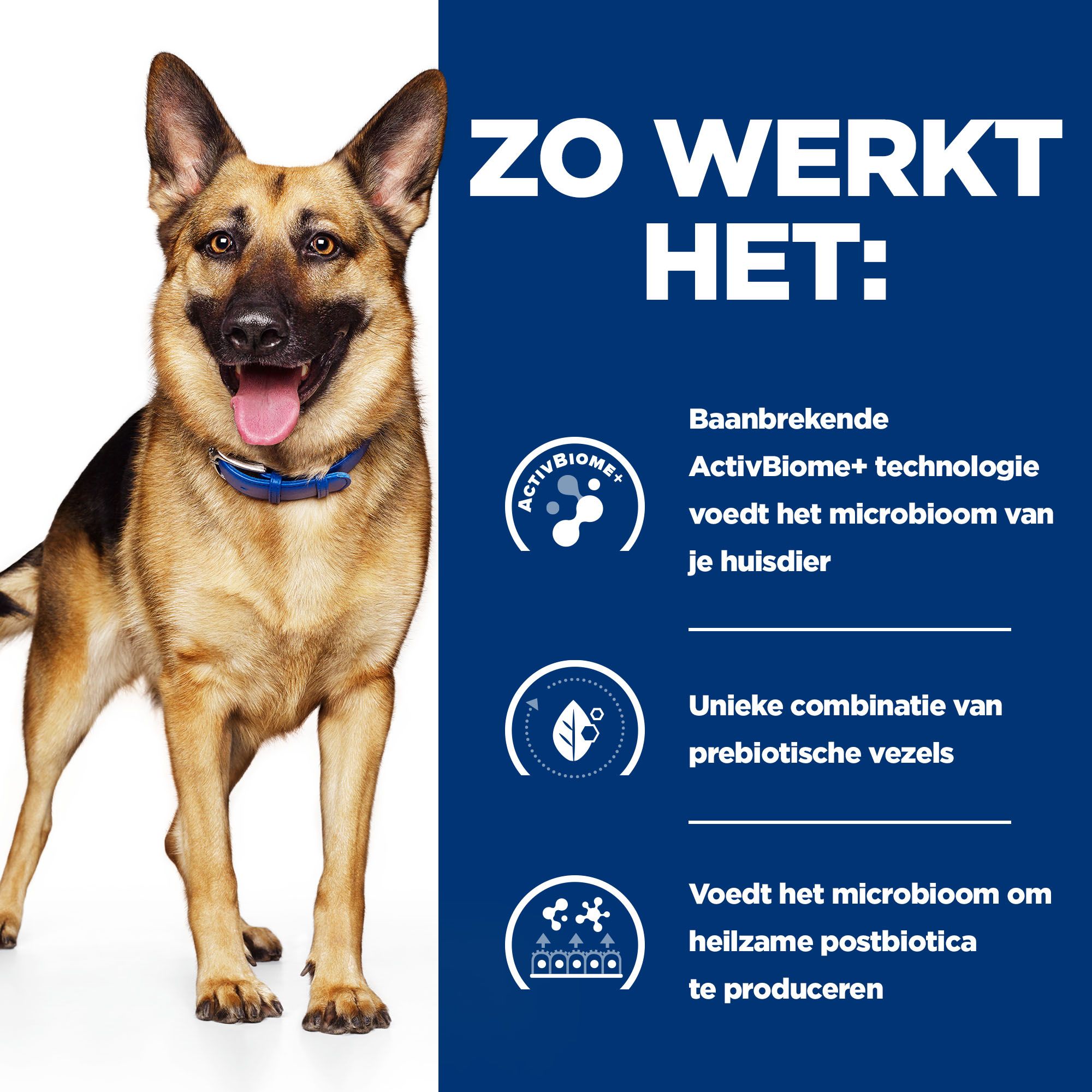 Hill's Prescription Diet - Gastrointestinal Biome - Stoofpotje Hondenvoer