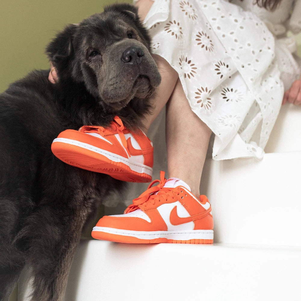 Nike Dunk Low SP Orange Blaze (Syracuse) - 48h Delivery