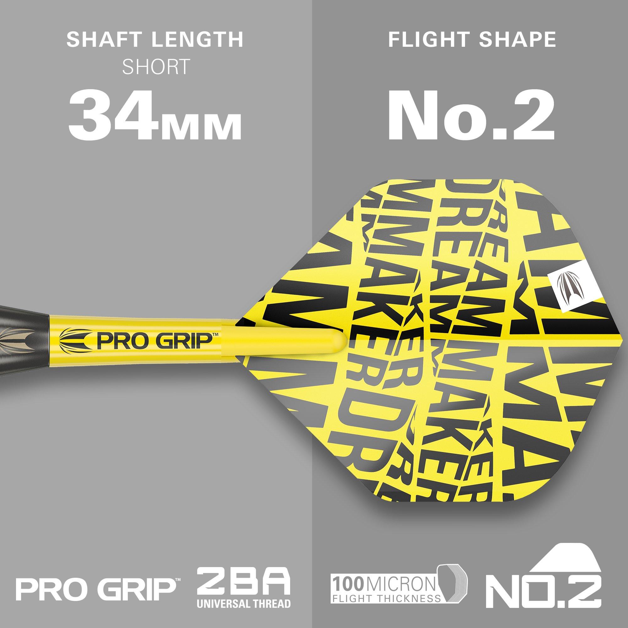 Target Darts Dimitri Van den Gergh Brass Darts Set