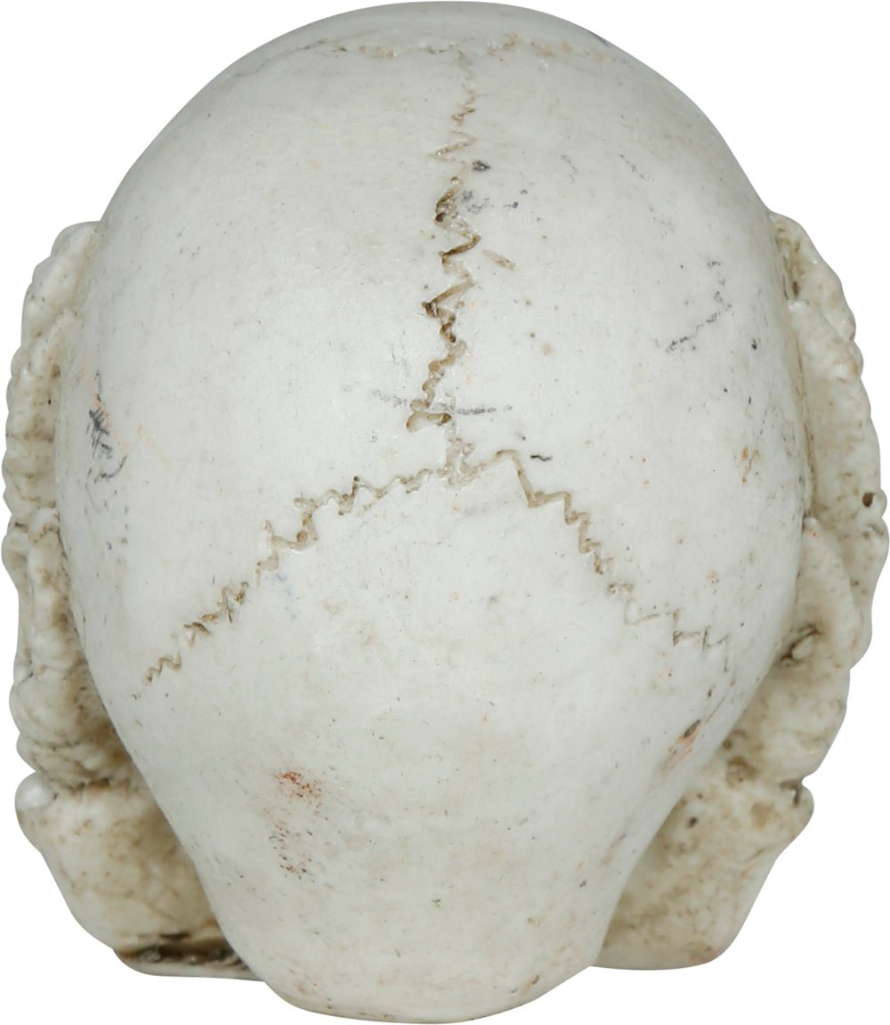 Halloween Schedel 6cm