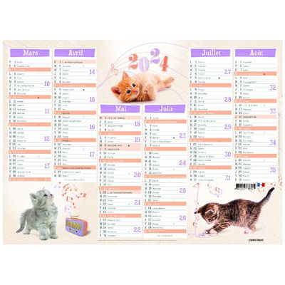 Calendrier Chatons - 7 mois par face - 40,5 x 55 cm - Oberthur