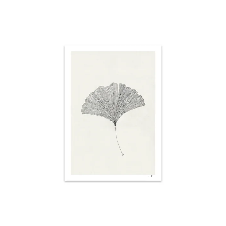 The Poster Club - Ginkgo Leaf von Ana Frois, 30 x 40 cm
