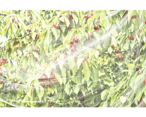 Spotted Wing Drosophila Net FloraSelf 4 x 5 m