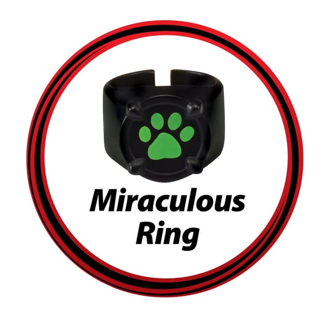 Miraculous - Cat Noir Verwandlungsset