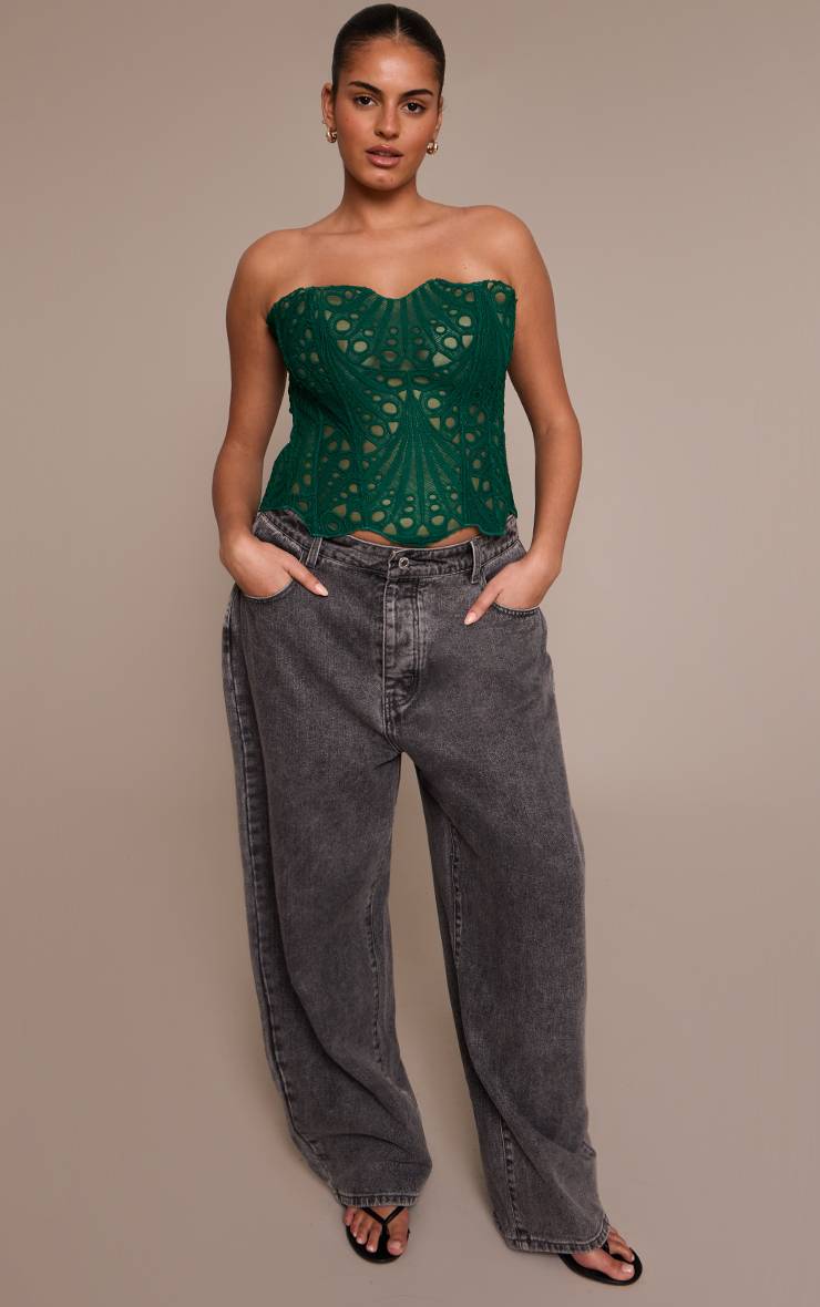 Vert Emeraude Corset Bandeau Grande Taille En Dentelle Florale Transparente Texturée