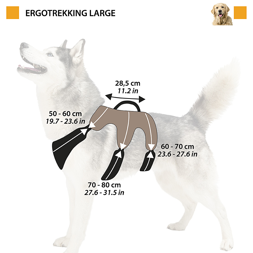Ferplast harnais grand chien ergotrekking large, harnais chien anti-évasion, anti-panique, lévrier, réfléchissant, 6 fermetures,