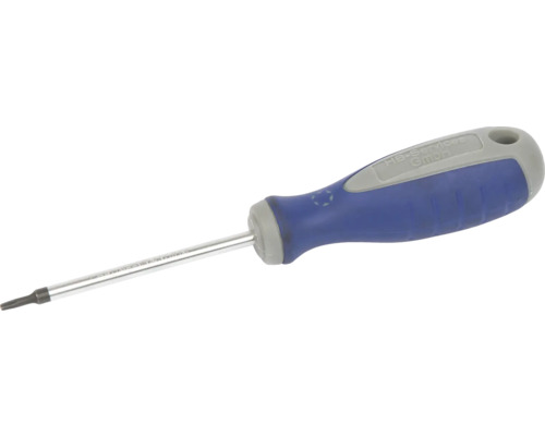 80 mm Torx T10-schroevendraaier