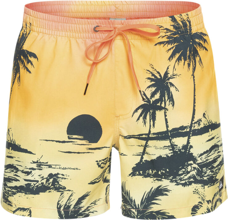 Quiksilver Everyday Paradise Volley 15