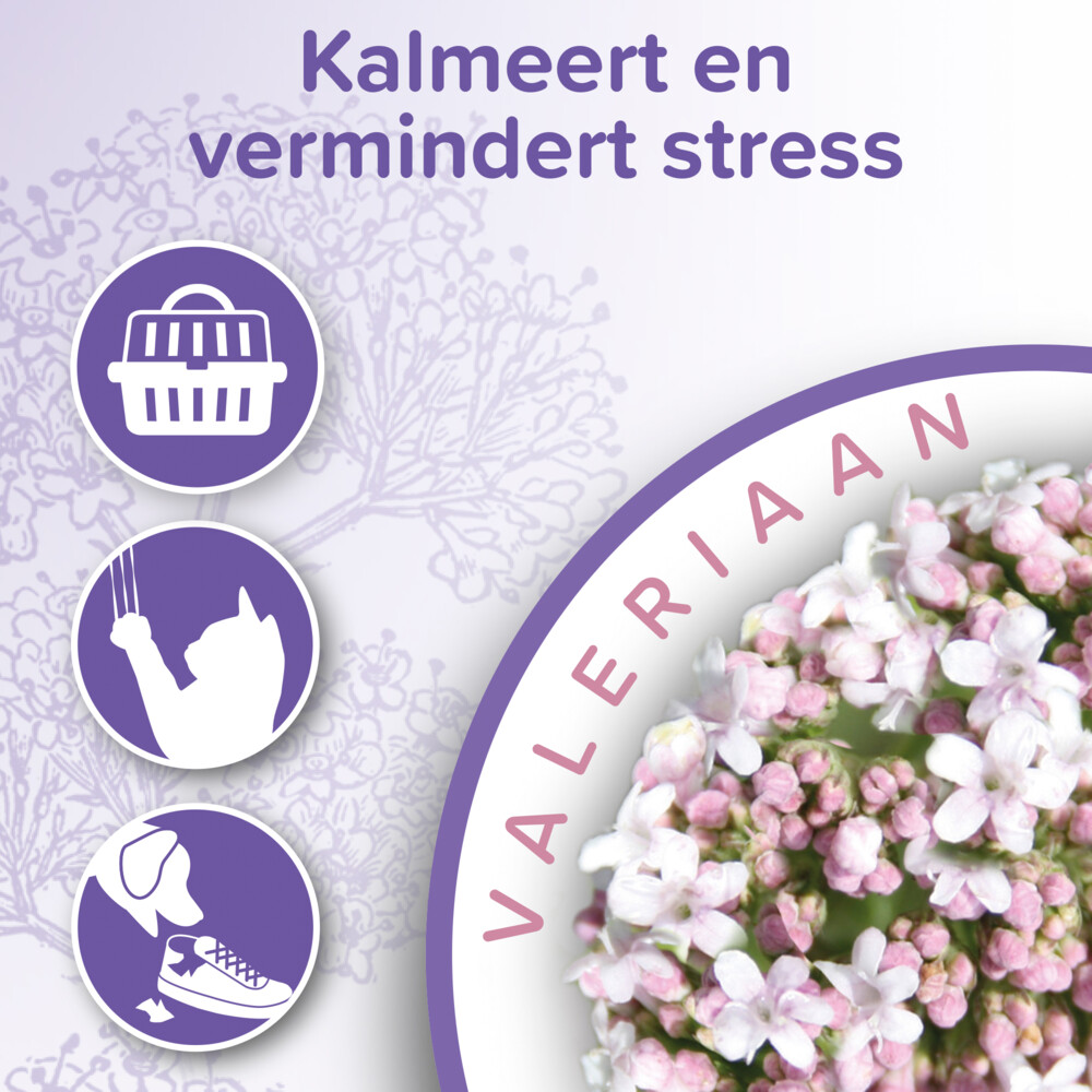Beaphar No Stress Hond & KatSpray125 ml