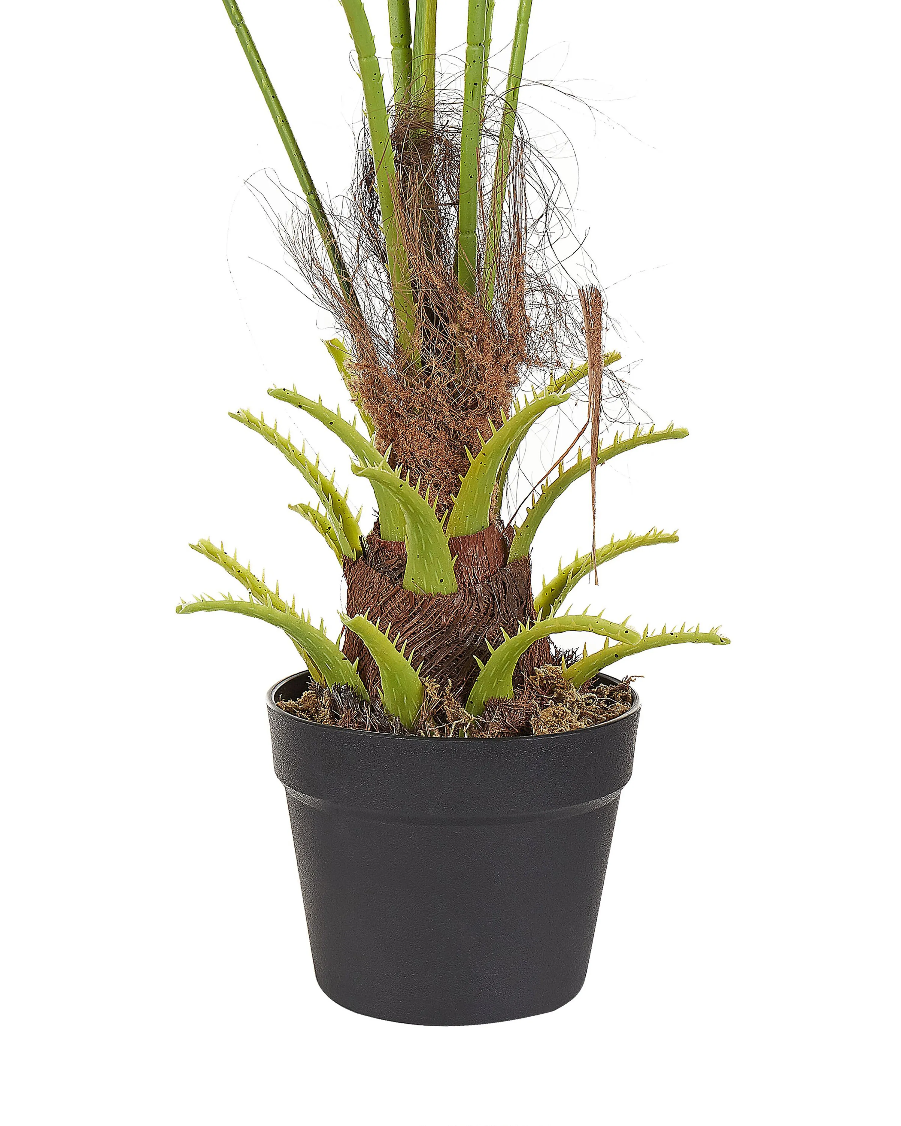 Kunstplant FAN PALM 100 cm Groen