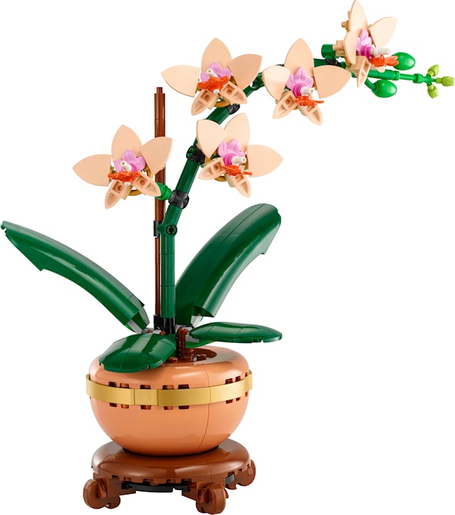 Miniatyrorkidé LEGO® Botanicals (10343)