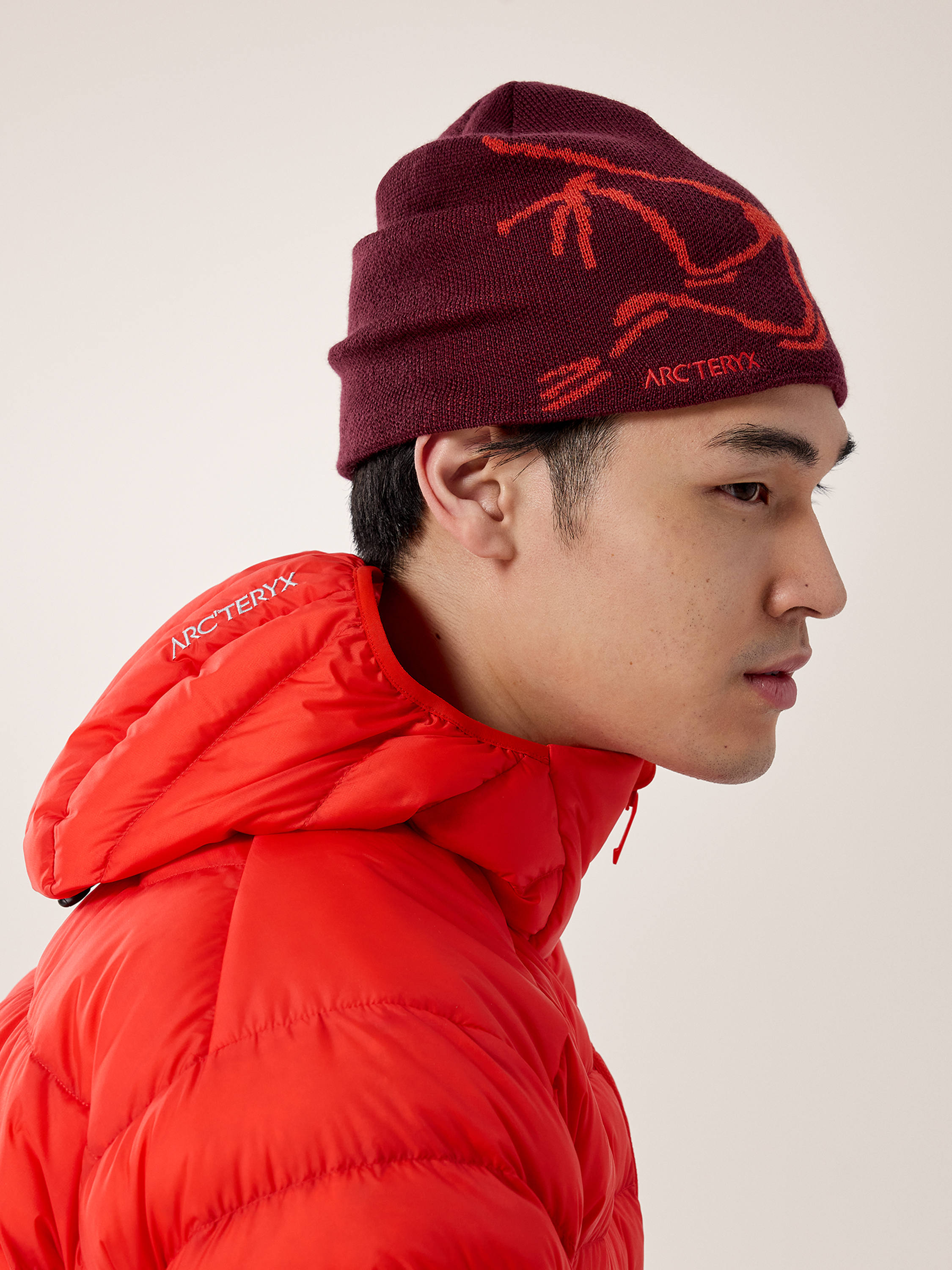 Arc'teryx Bird Head Toque