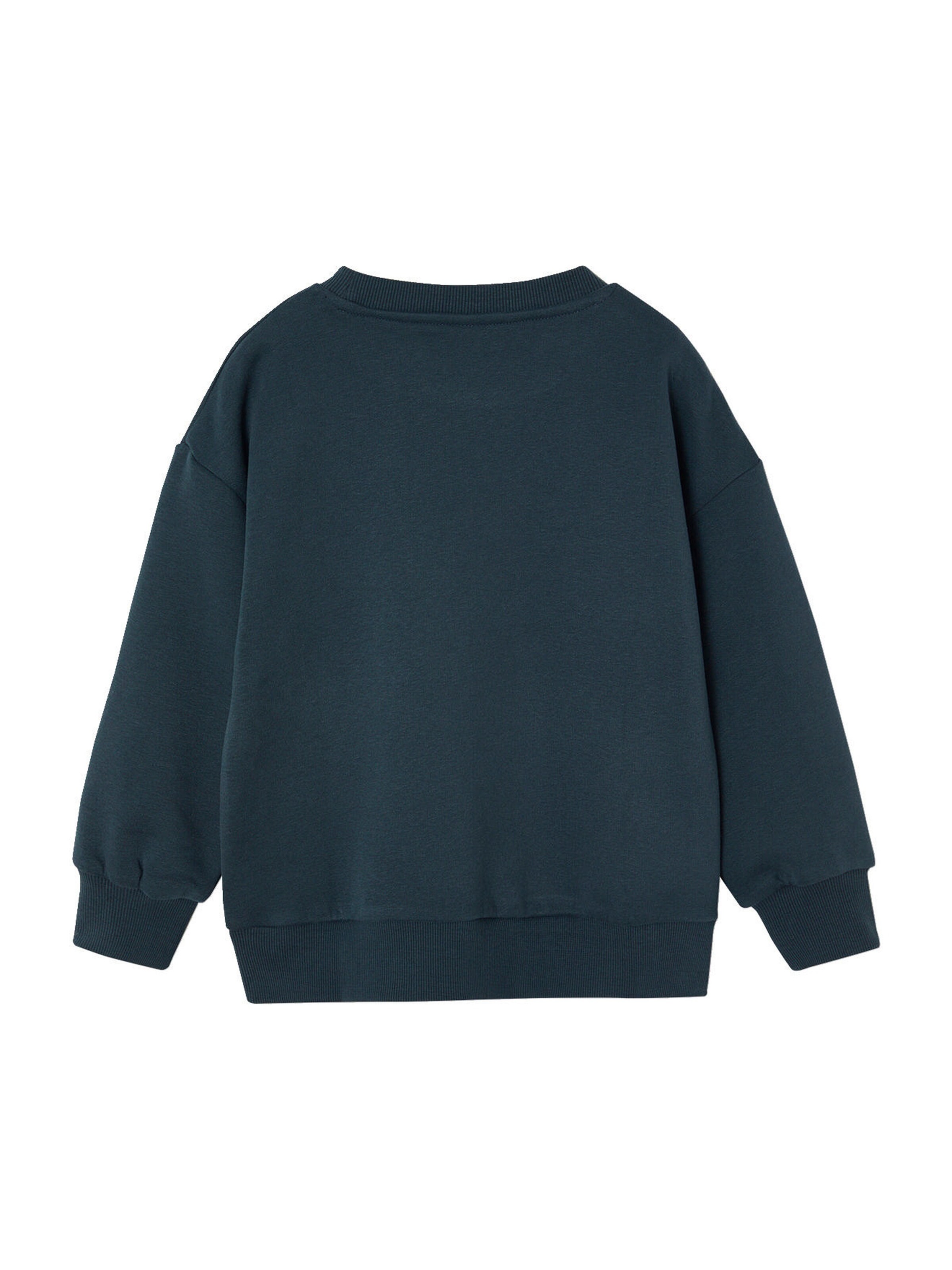 Vertbaudet Jungen Sweatshirt mit großem Skater-Motiv, Recycling-Polyester nachtblau