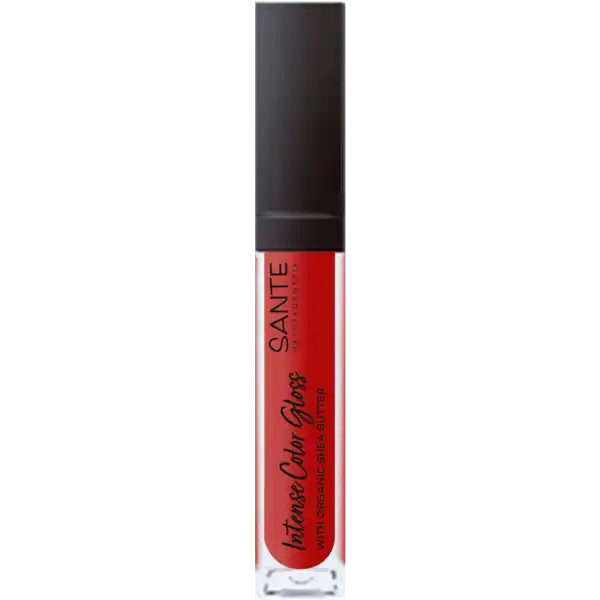 Intense Color Gloss 06 Daring Red