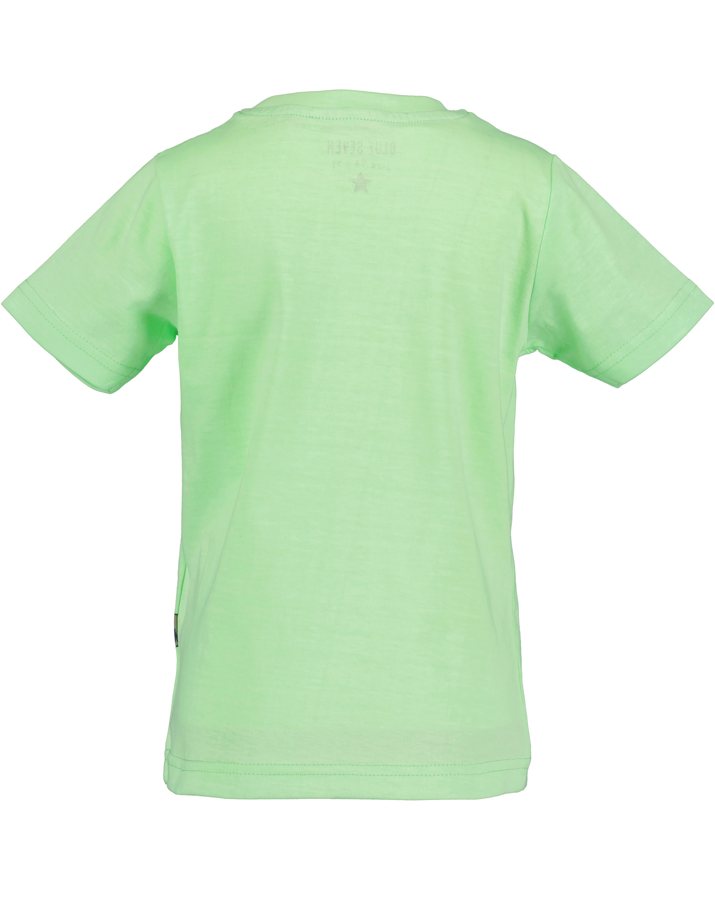 T-Shirt READY TO SKATE in hellgrün