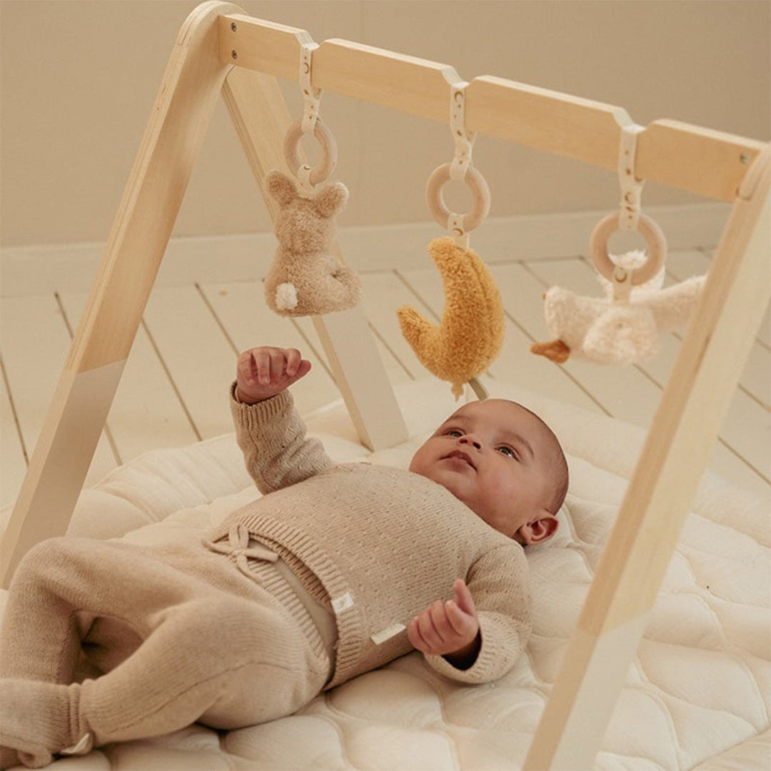 little dutch babygym met speeltjes newborn naturals