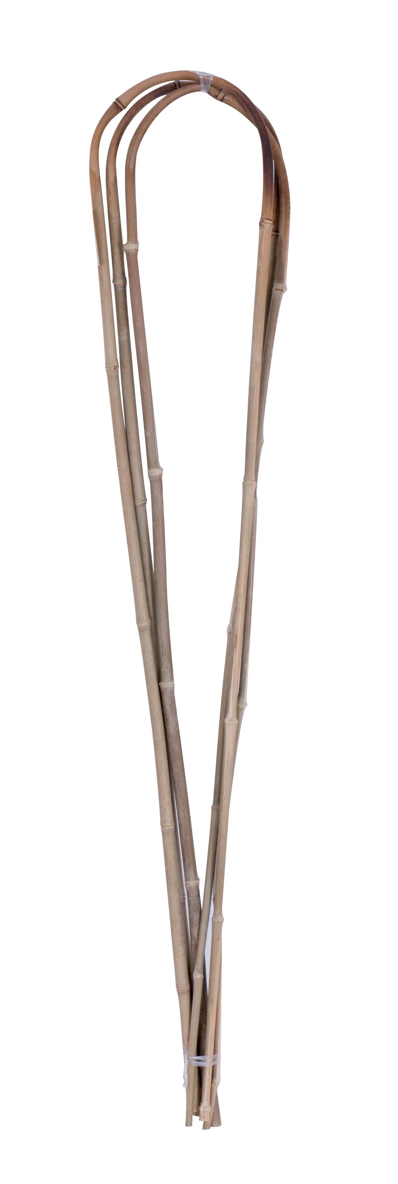 Plantestøtte bambus 3-pk. Høyde 118 cm