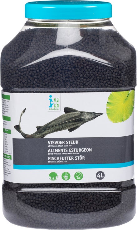 Intratuin visvoer steur 4 L