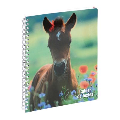 Cahier de textes à spirale Animaux - 17 x 22 cm - poulain - Exacompta