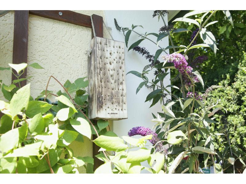 Windhager Insektenhotel Wildbienenholz Nisthilfe für Wildbienen