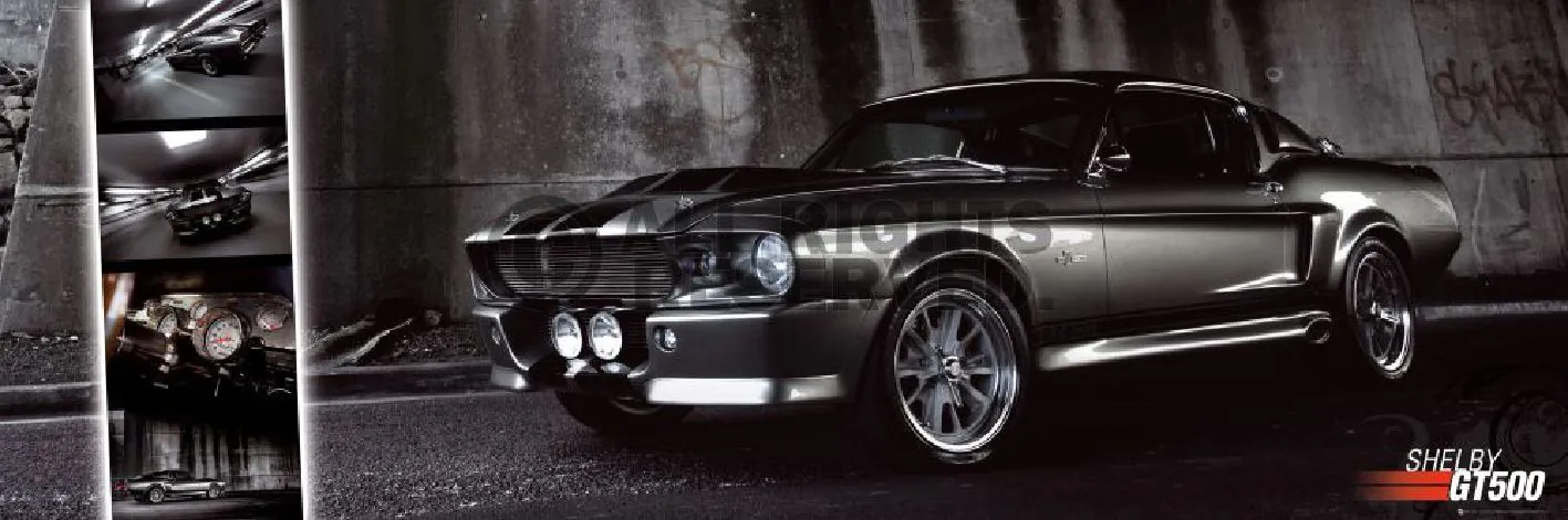 Poster Mustang gt500, 53 x 158 cm
