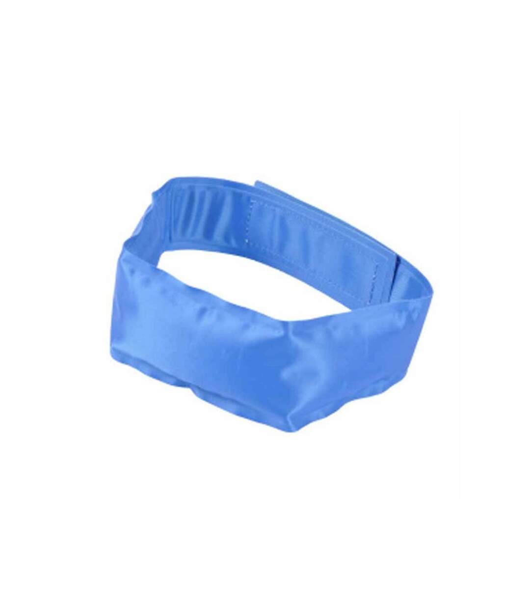 Paris Prix - Collier Pour Chien rafraîchissant 63cm Bleu