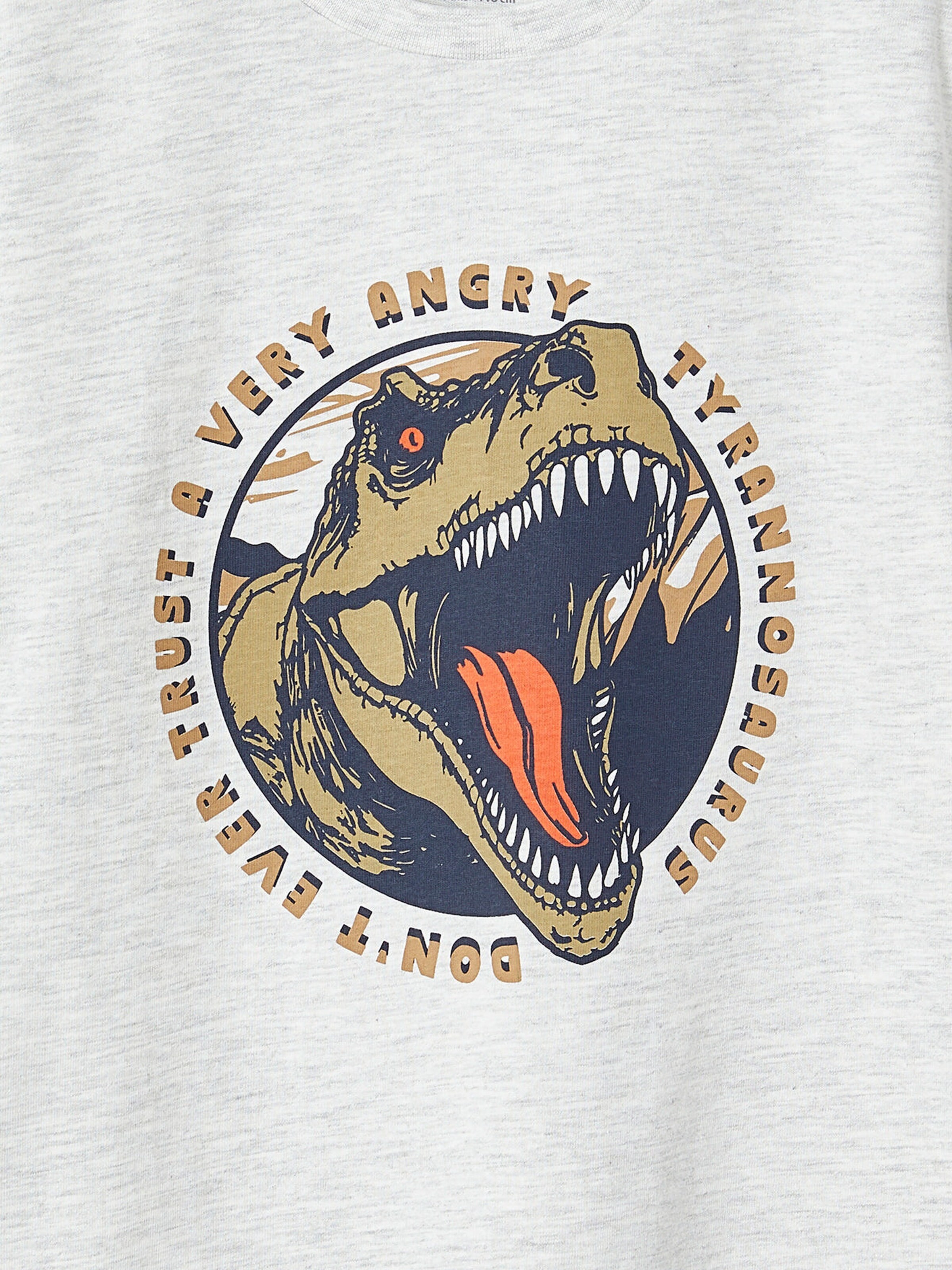 Vertbaudet Jungen T-Shirt mit Dino, Recycling-Baumwolle weiß meliert
