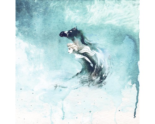 Fotobehang vliesbehang DX5-016 Disney Edition 4 Frozen Spirit Of Wonder 5-delig. 250x250cm