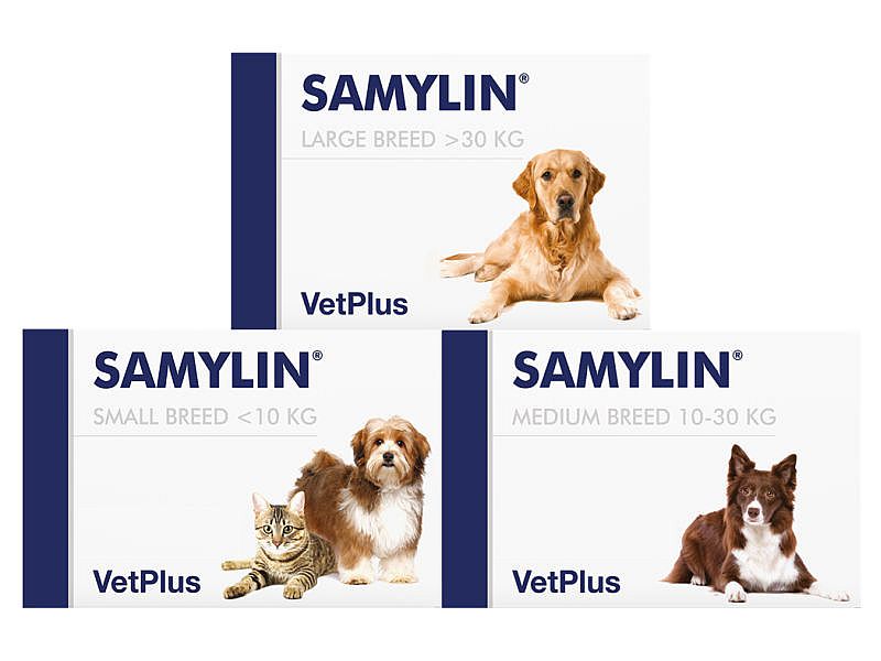 Vetplus Samylin Lever Hond Kat | Kleine hond/kat - 30 sachets | 11018