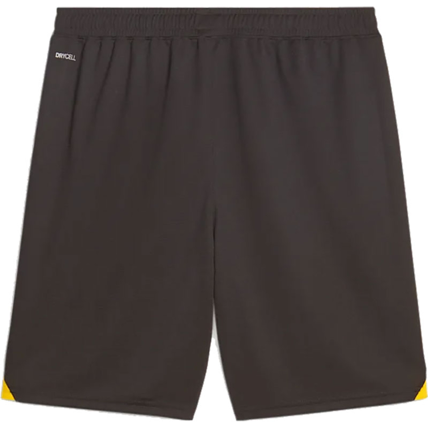 Puma Borussia Dortmund Thuis Tenue Kids