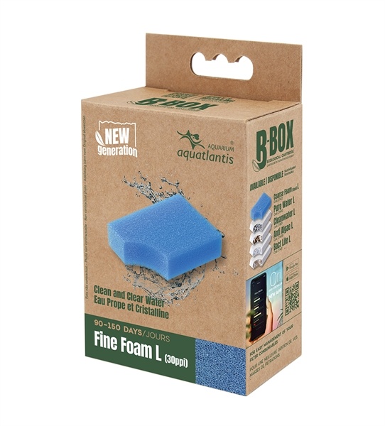 Aquatlantis B-Box Fine Foam L