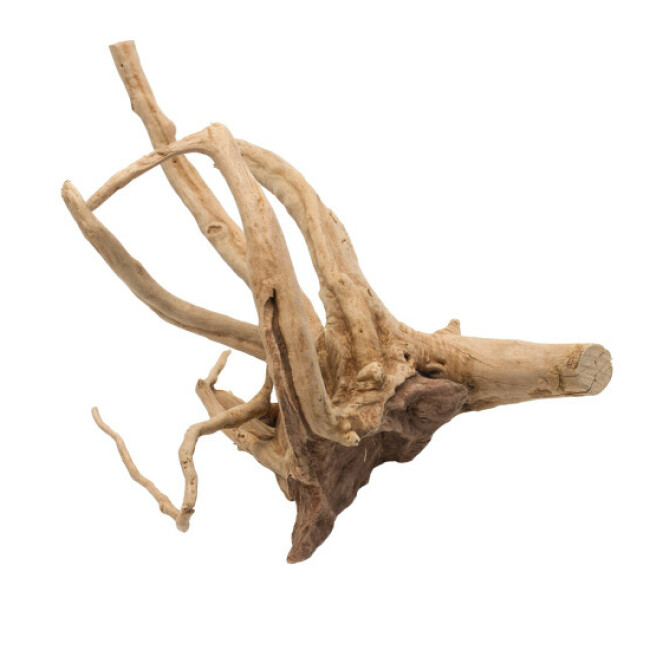 Décoration flottante Bois Driftwood poli Aqua Della