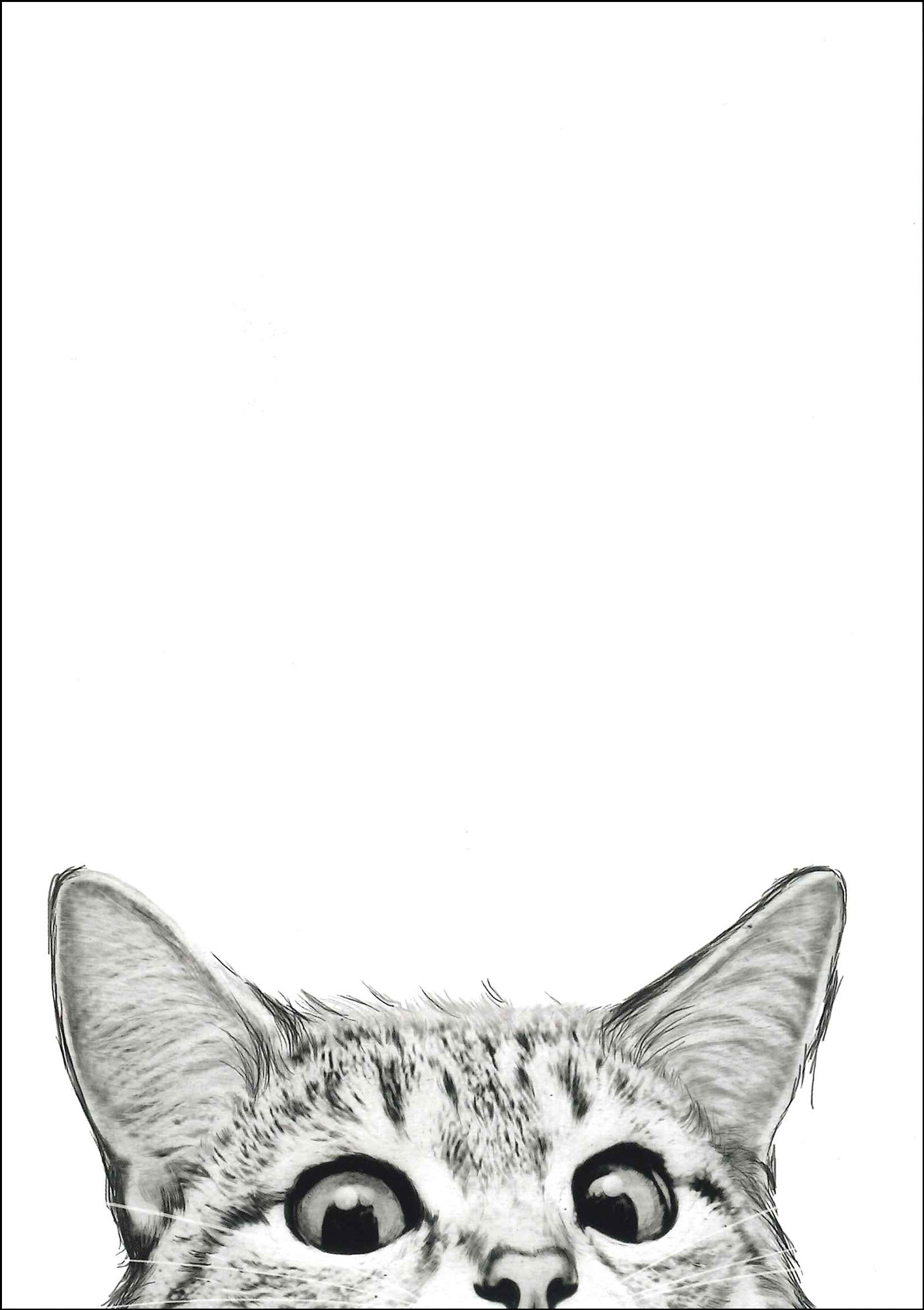 Postkarte 'Katze' günstig bestellen