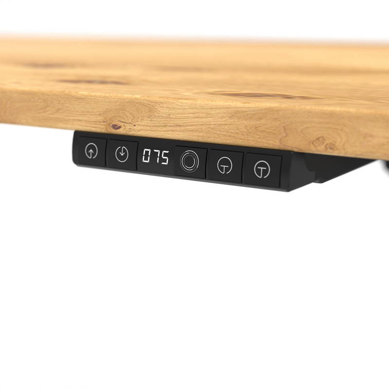 Carryhome E-Schreibtisch ULIX