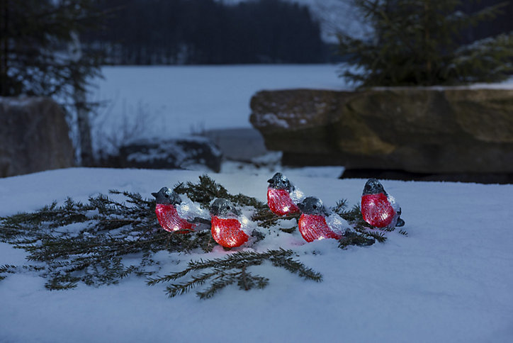 Rouge-gorge à LED blanc froid cable blanc