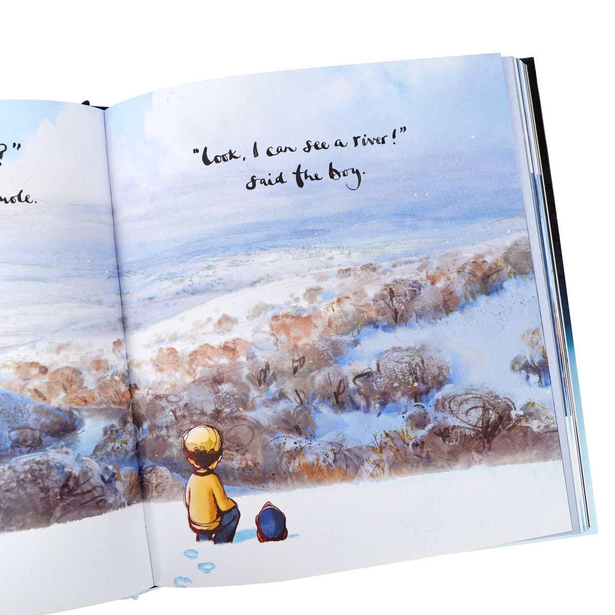 The Boy, the Mole, the Fox and the Horse: The Animated Story (Hardback)