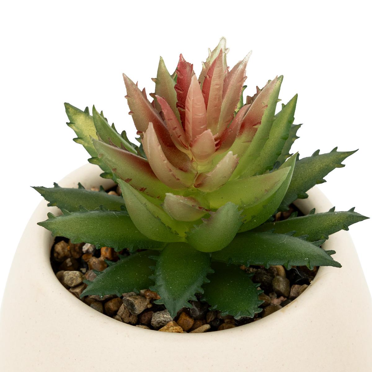PLANTE GRASSE LIVY POT CERAMIQUE H.17CM
