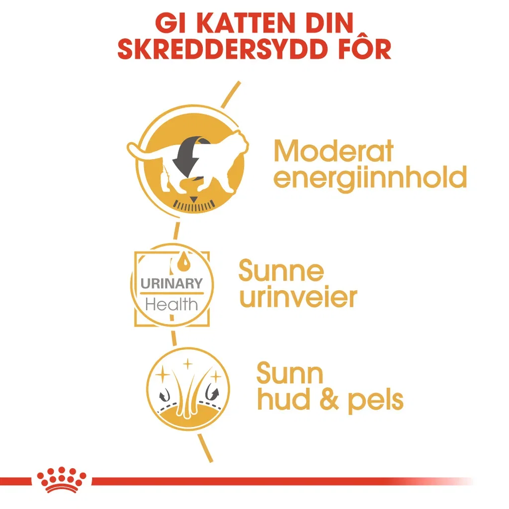 Royal Canin Royal Canin British shorthair Adult 2 kg