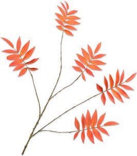 Silk-Ka kunsttak Rhus oranje 103 cm