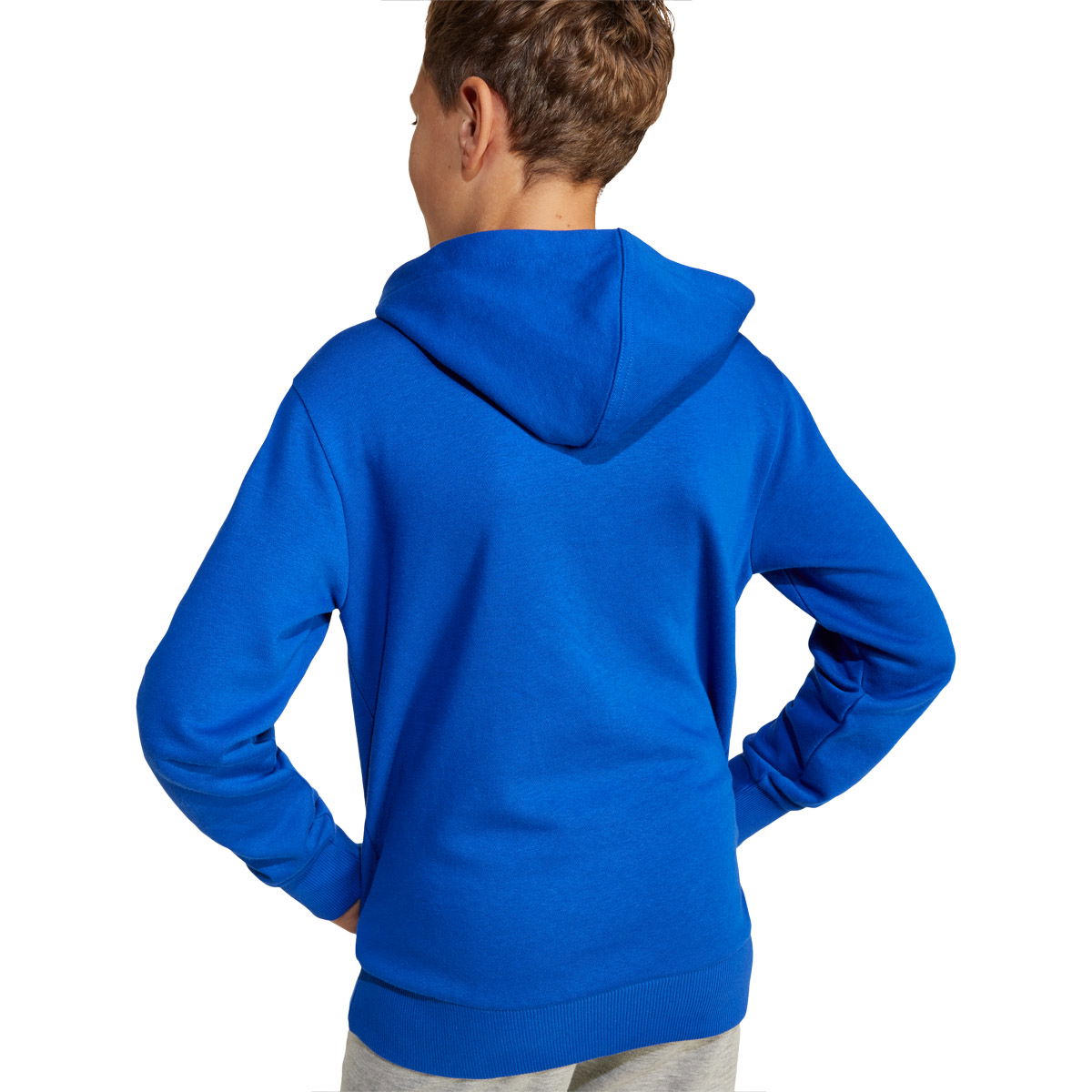 adidas Small Logo Hættetrøje Børn