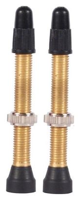 Paire de Valves Tubeless WTB TCS Brass Presta Valve Laiton