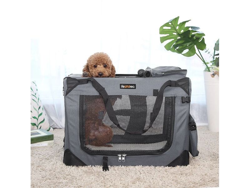 Feandrea Transportbox für Hunde & Katzen S Tierbox zum Tragen von Haustieren