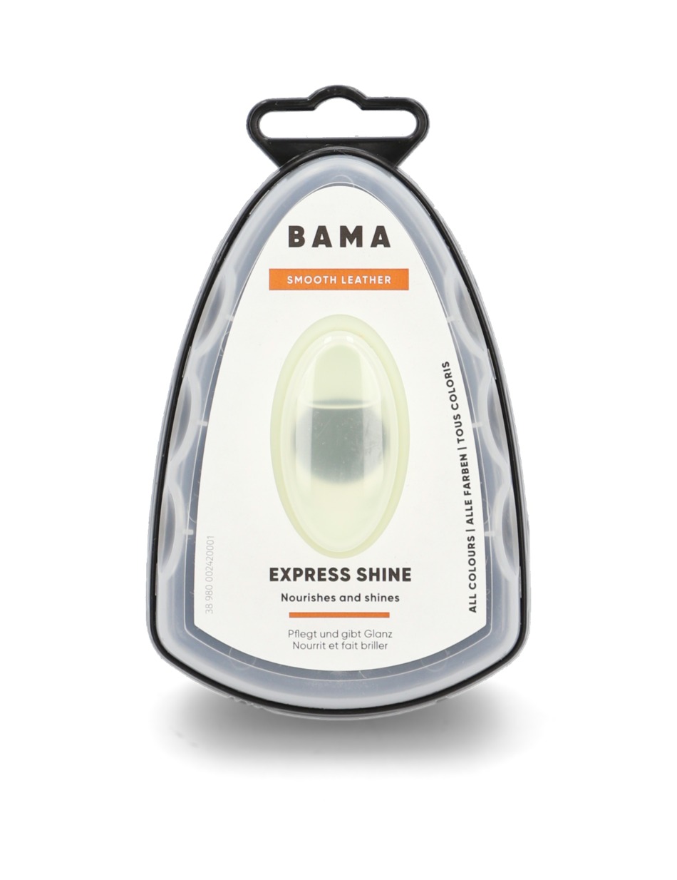 Express Shine Sponge