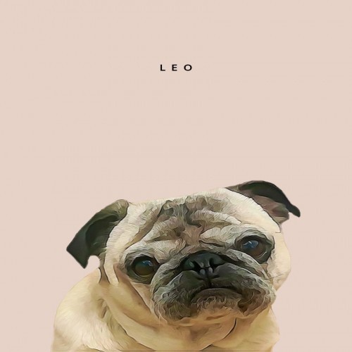 Retrato personalizado do seu animal de estimação em tons de rosa.