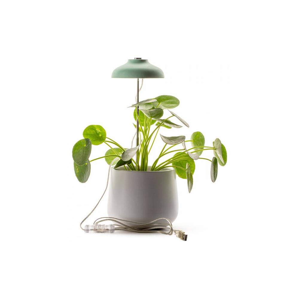Lampe horticole en métal 10 x 12.5 cm