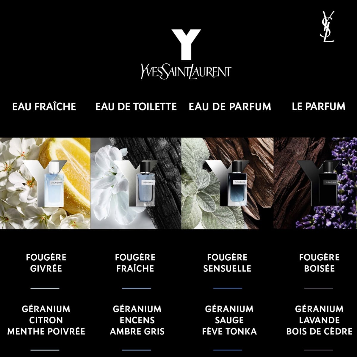 YVES SAINT LAURENT Y Le Parfum Eau de Parfum