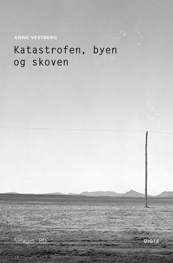 Katastrofen, Byen Og Skoven - Anne Vestberg - Bog
