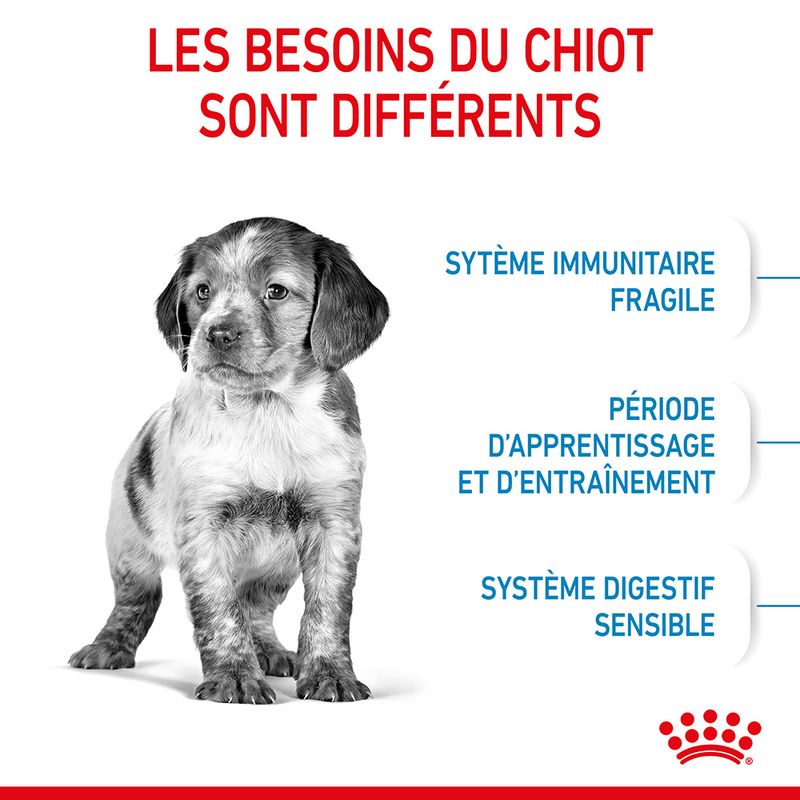 Royal Canin Medium Puppy - Croquettes chiot discount | Bitiba